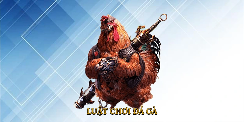 Luật chơi đá gà
